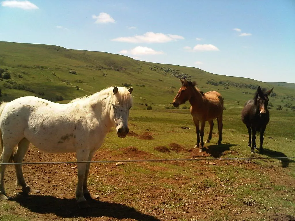 Cantal'Envie Massiac